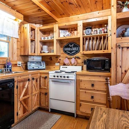 Quaint & Secluded Near Dollywood With Bbq&Hot Tub Villa Pigeon Forge Eksteriør bilde